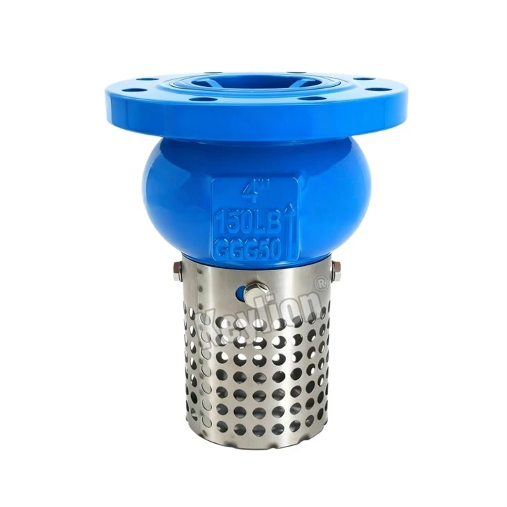 Tipo de flange de válvula de pé
